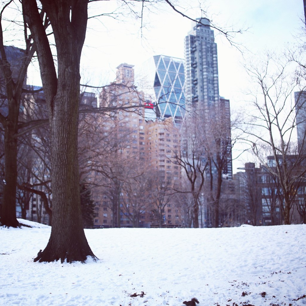 这里就是众多美剧的外景地，中央公园