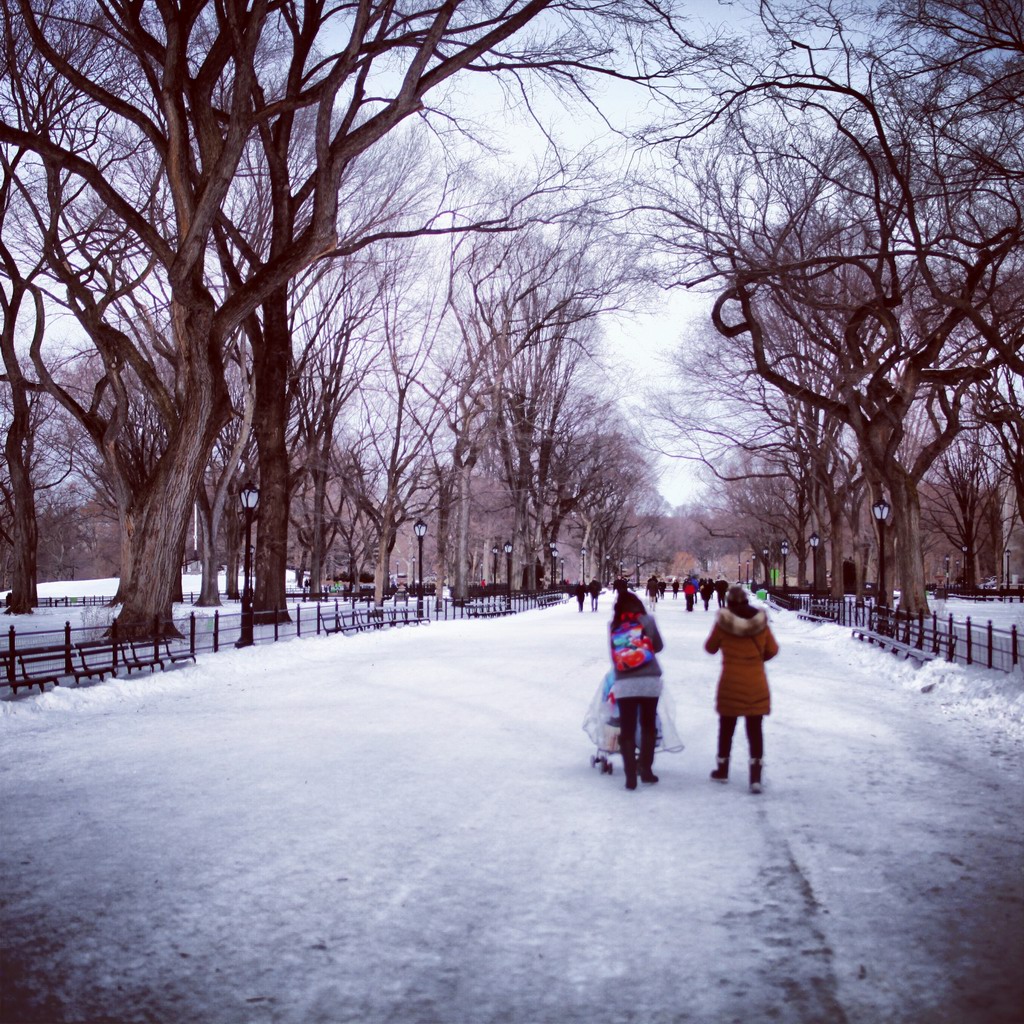 在中央公园散步的人们