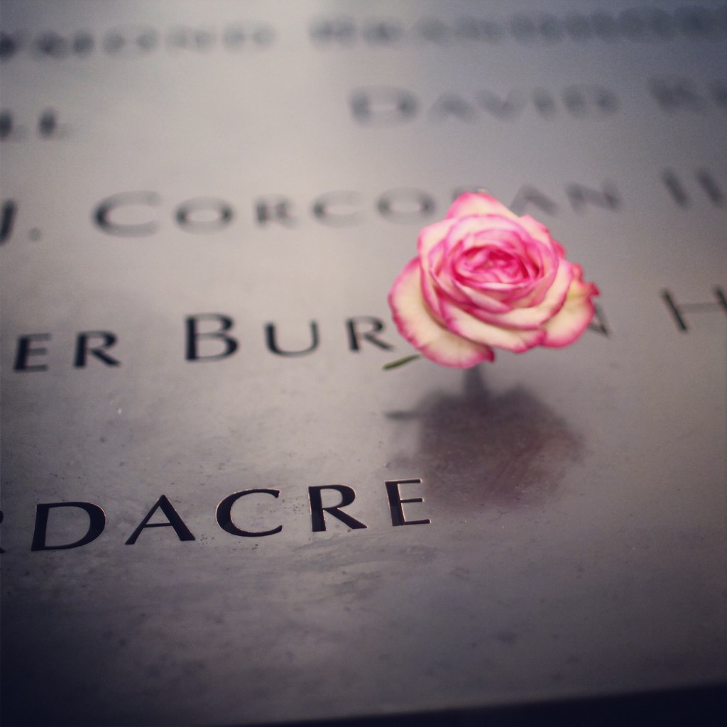 不时见到有人插上的鲜花