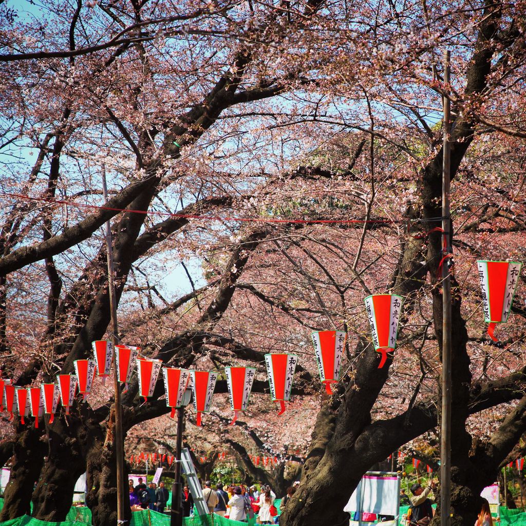相信这里晚上也会相当的热闹，可惜没有时间晚上再来了