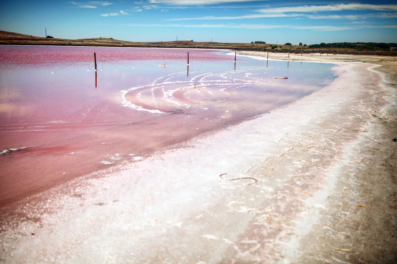 继续看看粉红的盐湖，很少见