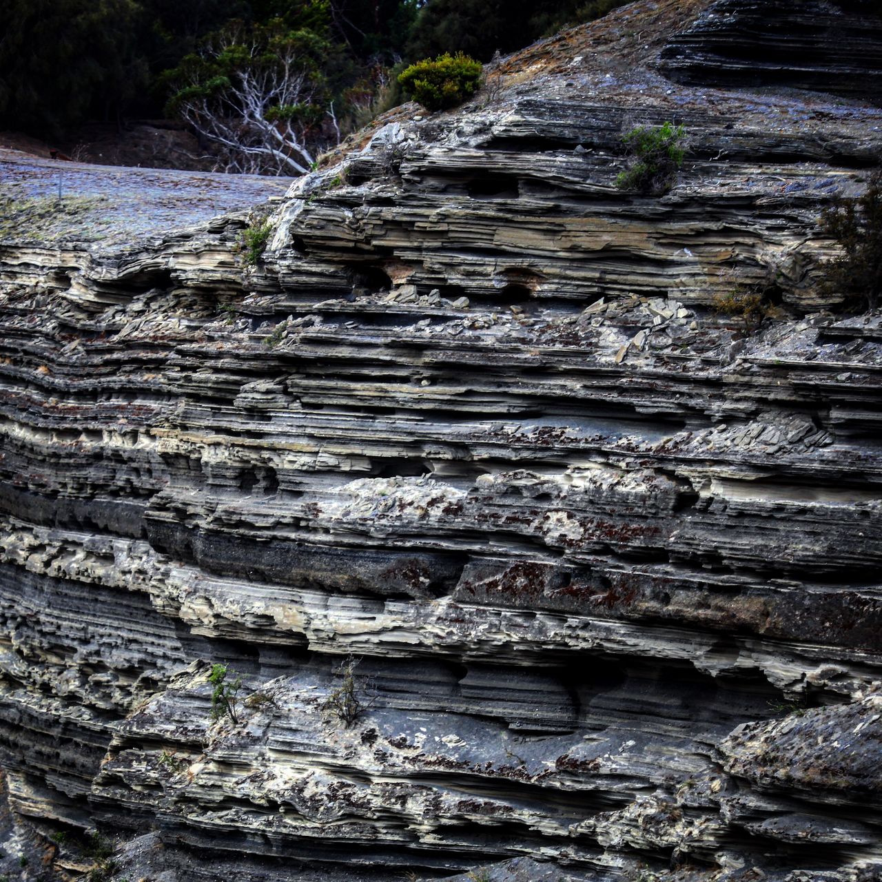 一层层的叠岩见证着岁月的流逝