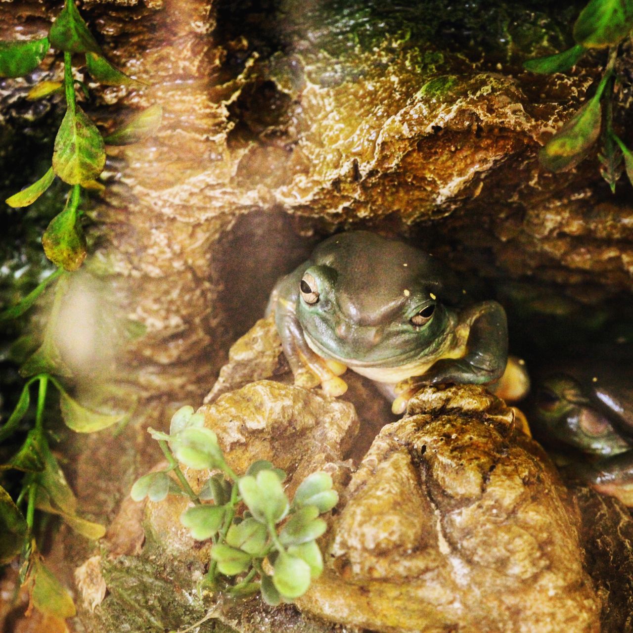 还有躲在石洞下的娃