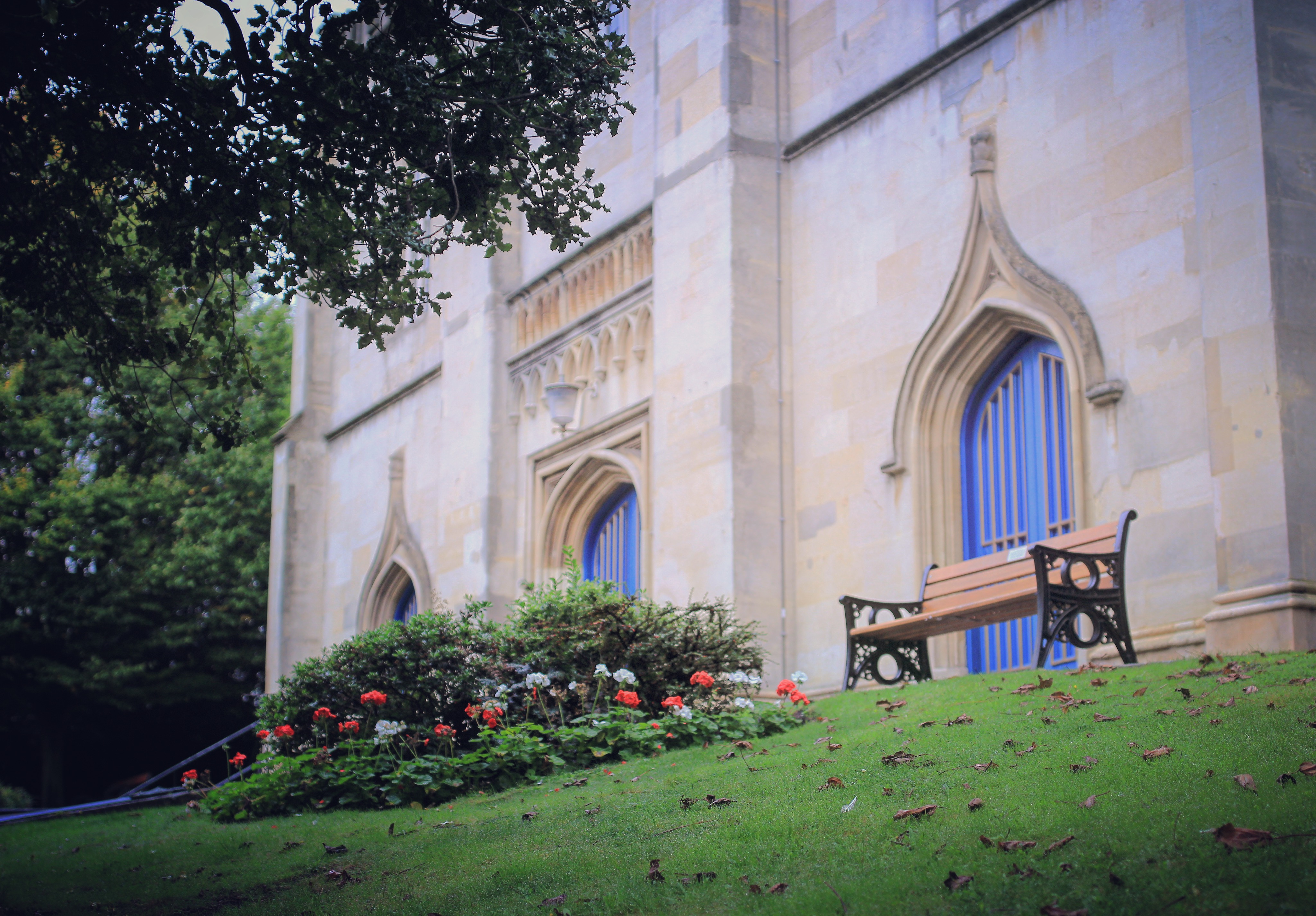如果天晴的话,这里应该是一个很适合看(wan)报(shou)纸(ji)的地方