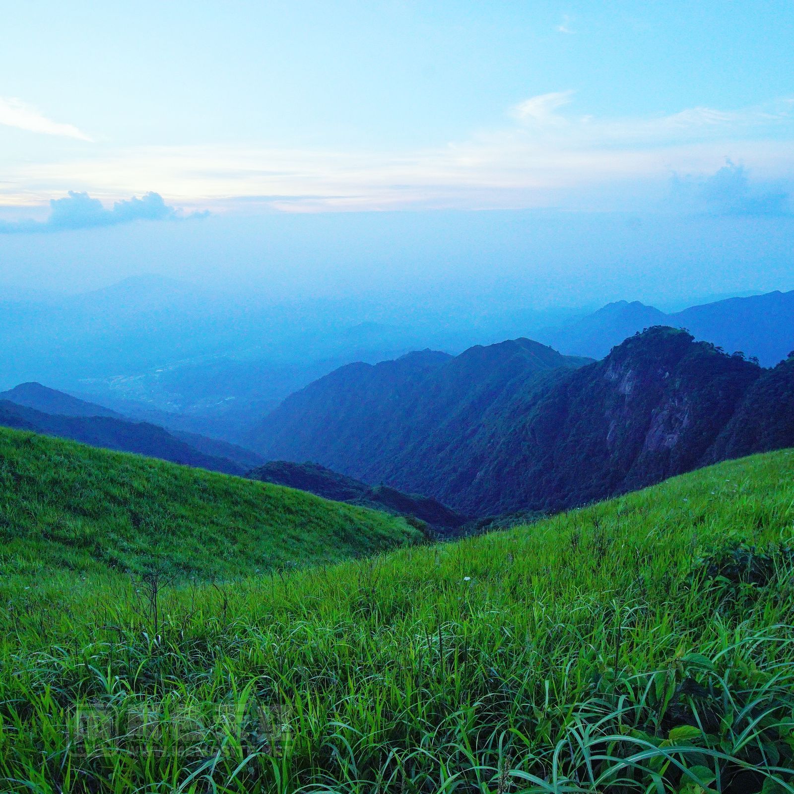 远处的雾气还未散去,已经可以看见淡淡的朝霞