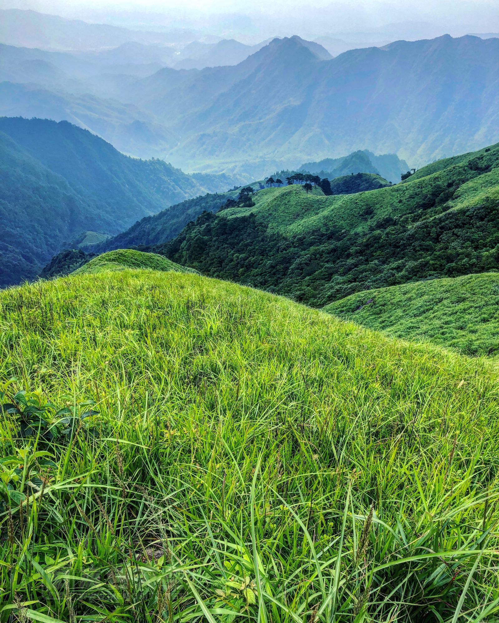 一层层的山峦,真想是侏罗纪公园的外景