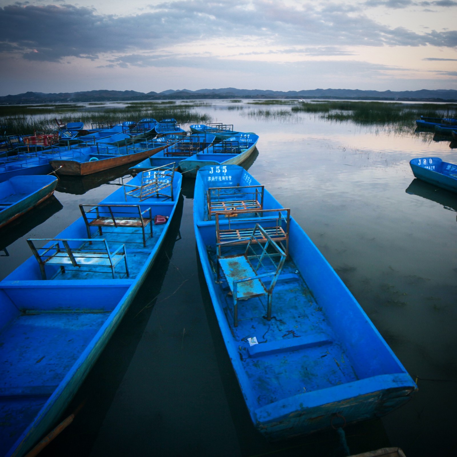 也罢,草没太多可拍,就拍拍游船吧