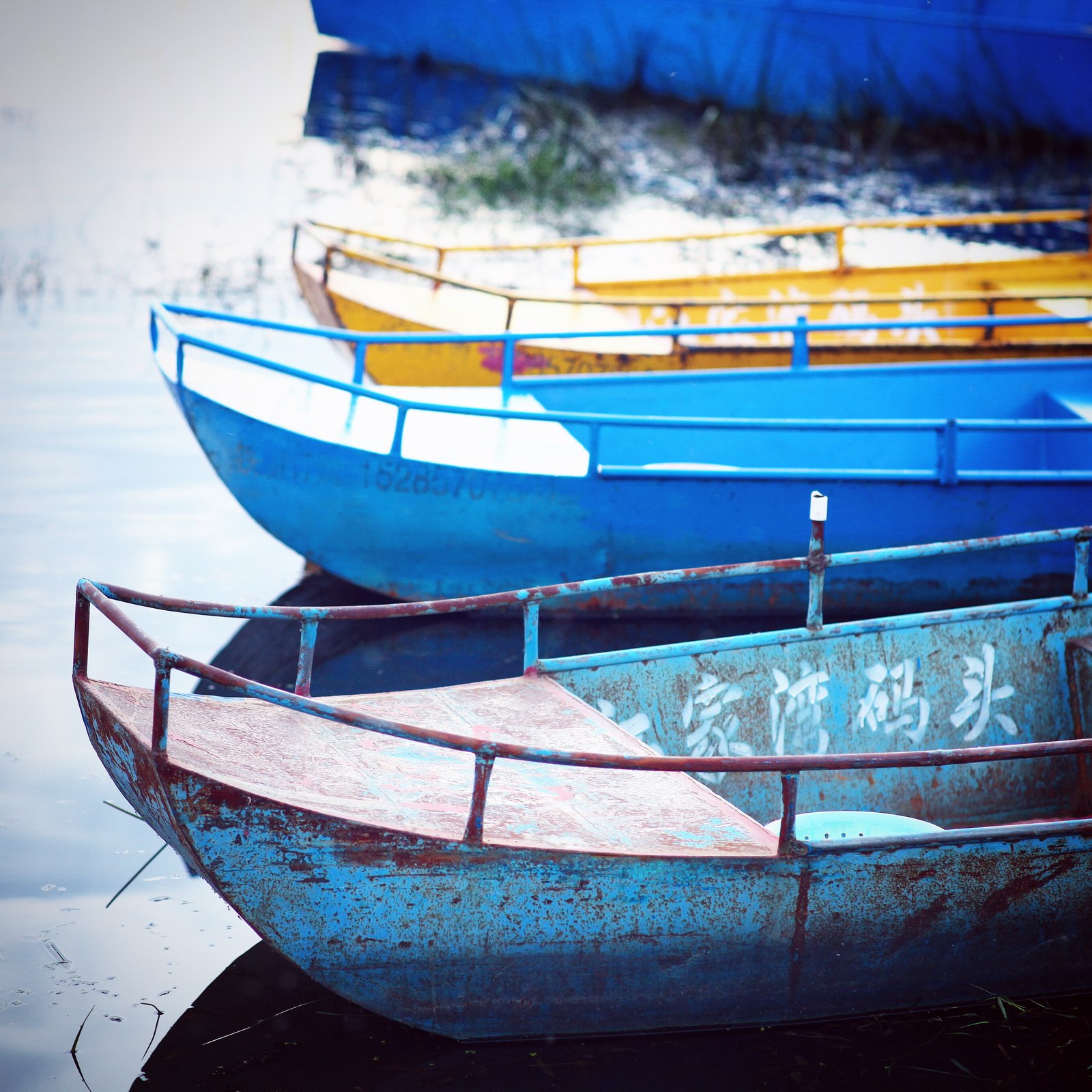 我要看草海!!草草草草草草草草草