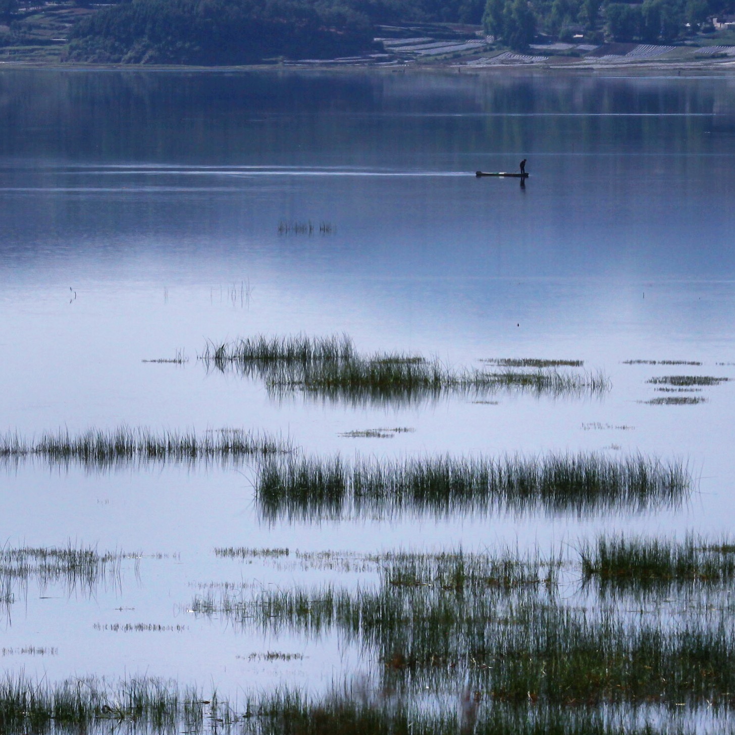 草,海,人 这三者是融合的多和谐