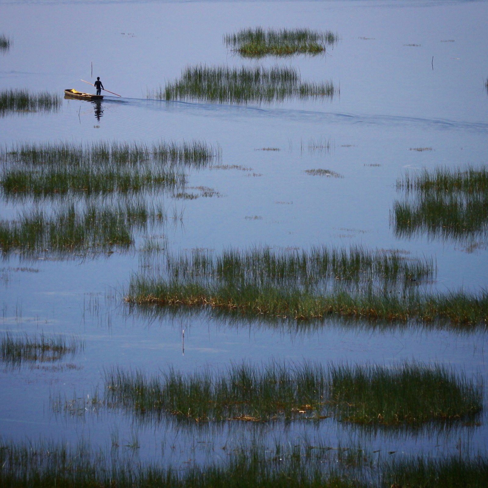 囧 怎么还有一张的?