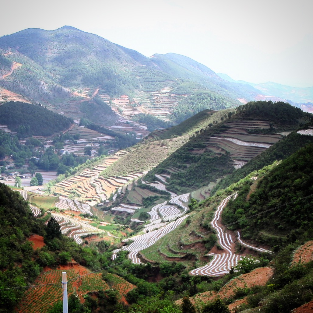 看罢草海,移师马摆大山找杜鹃花看去