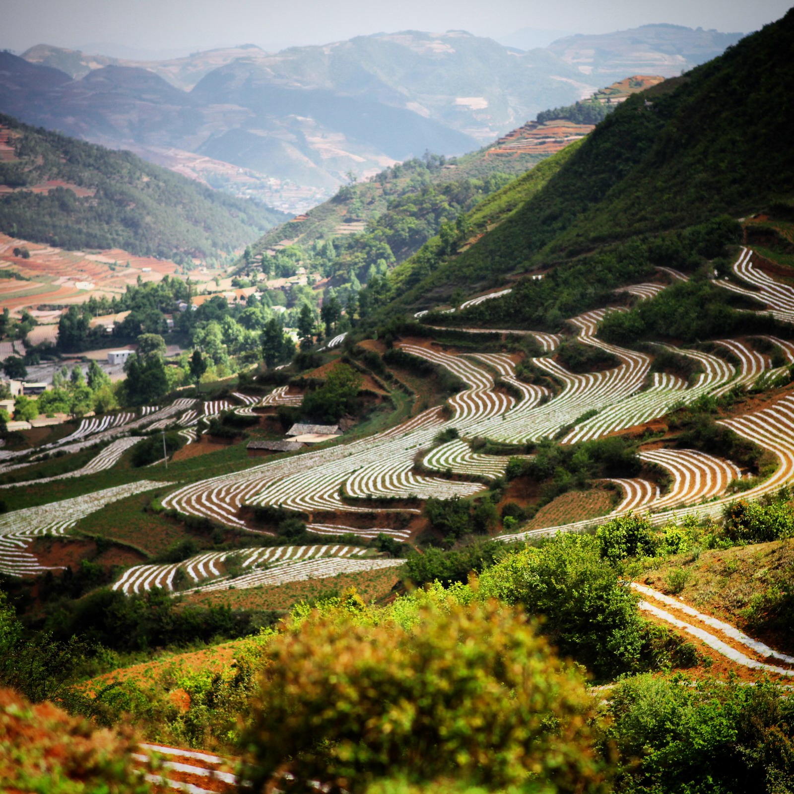 这么多座山,哪座才是马摆啊?