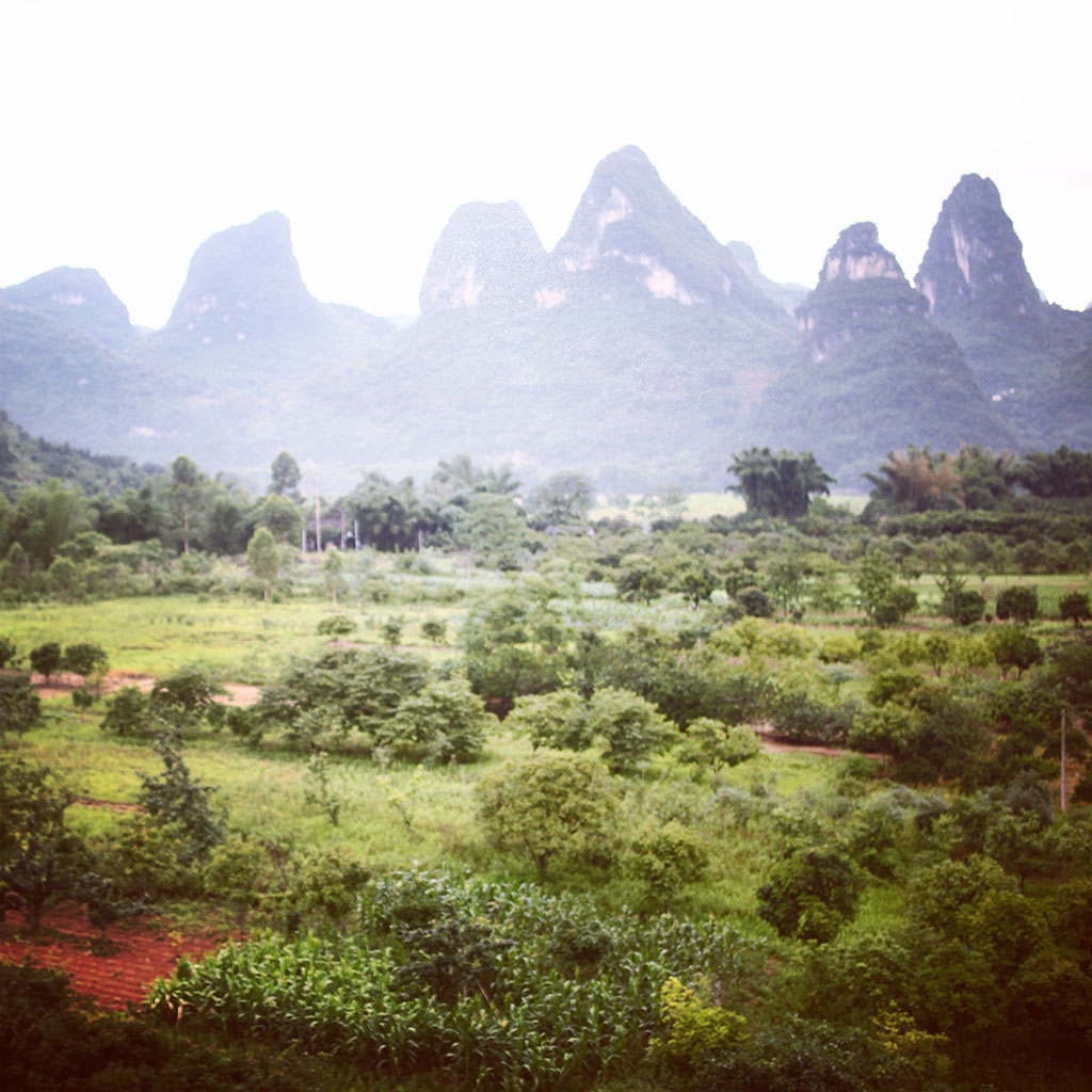 次日清晨，阵阵鸟语和芳草气息随风飘到房内