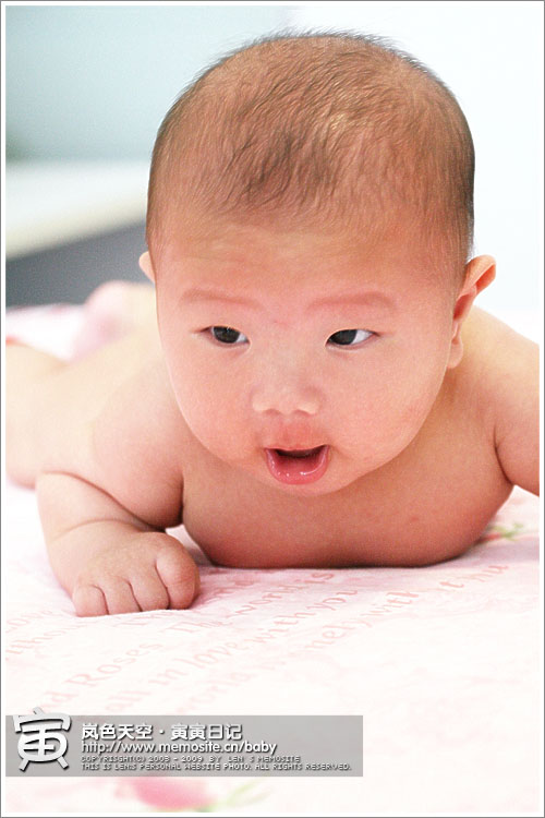 我还是继续做我的俯卧撑吧