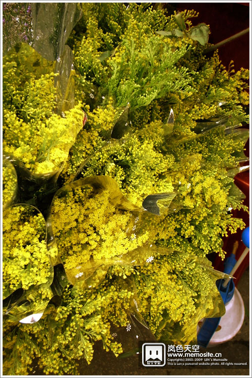 鲜花都有了，绿草也不甘示弱