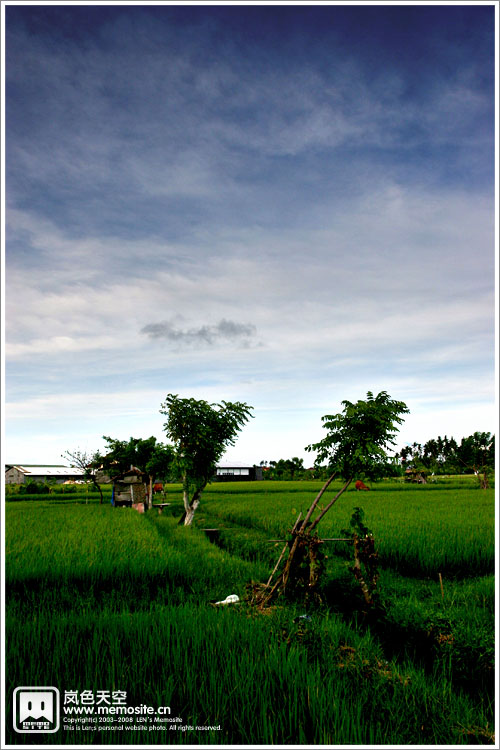 餐馆望出去的农田