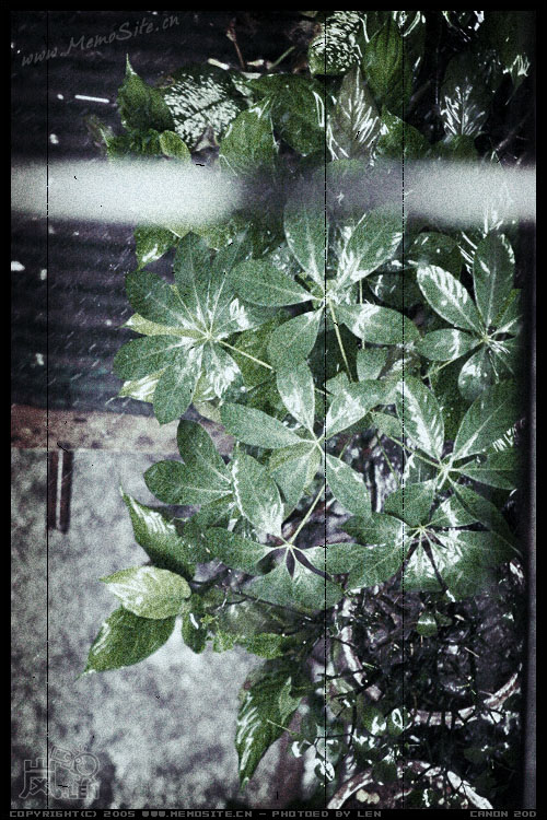 0730 rain 3