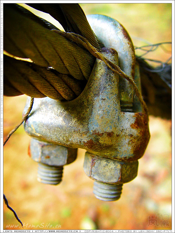 CT Lomo Party·My Lomo