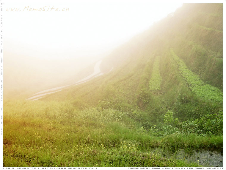 当我们到达二号观景台的时候，浓厚的云雾已经遮盖了一切。感觉自己已置身于仙境之中。