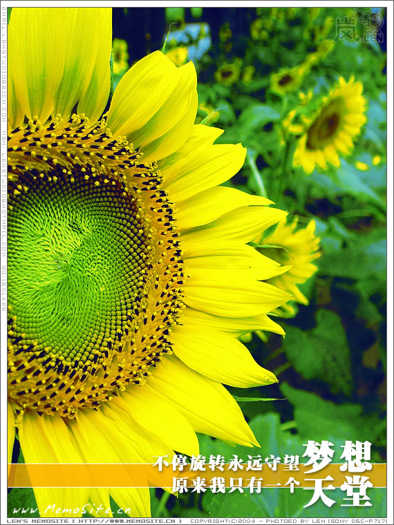 不停旋转永远守望梦想，原来我只有一个天堂