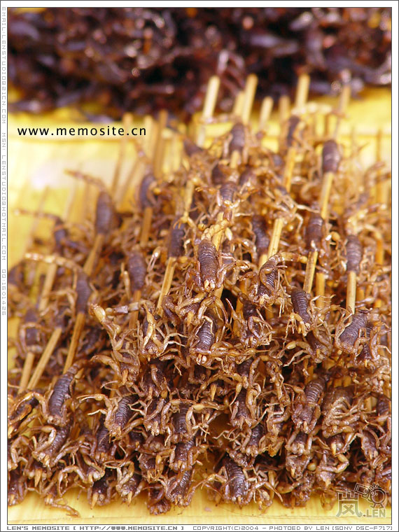 我在想，要把这盘东西都灌到肚子去，会不会练就一身五毒功呢？