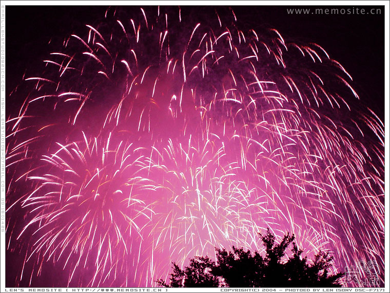 0122 firework 12