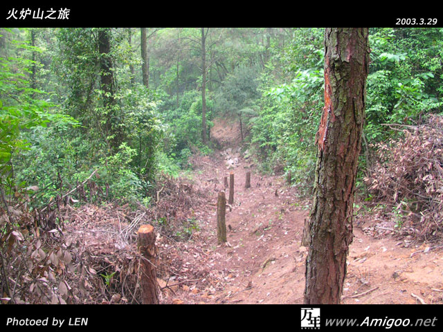 这是我们碰到的第二个有岔路的地方,两个专业友继续探路中,我们在此小休了一会,看见了一条山路,估计是有头野猪失足滚下山造成的~~
