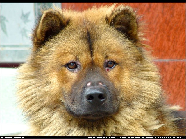 小谷围外拍 －风景篇